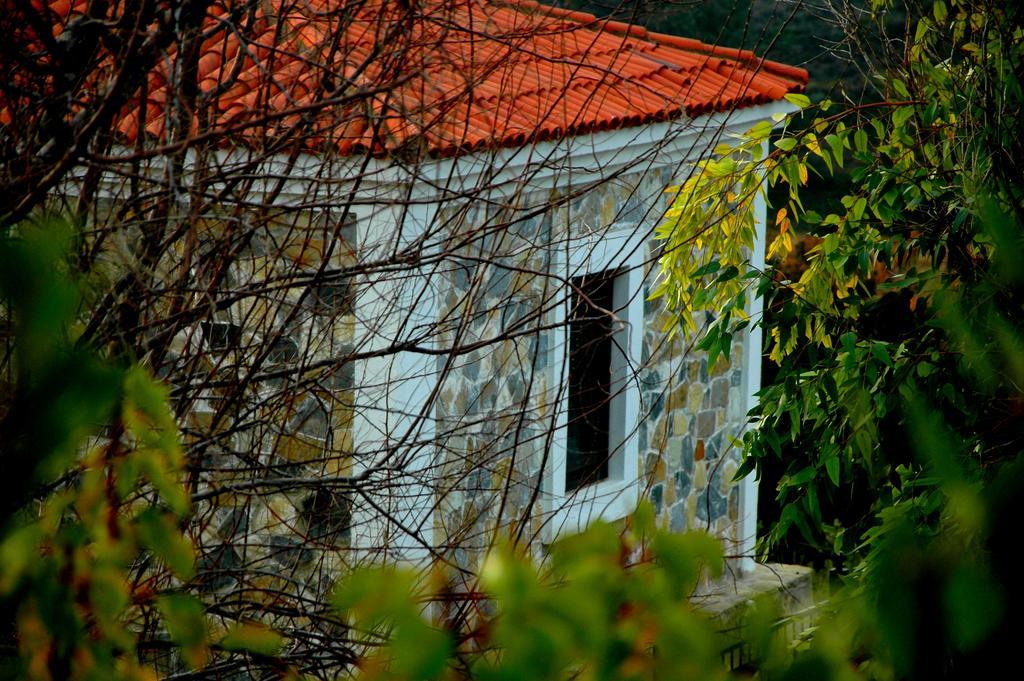 Mavikarga Bozcaada B&B 외부 사진