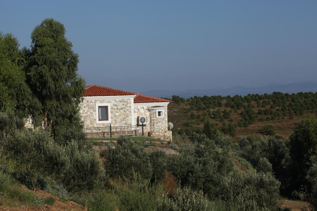 Mavikarga Bozcaada B&B 외부 사진