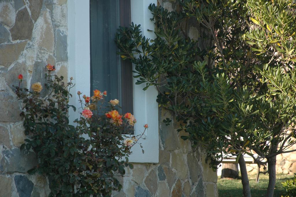 Mavikarga Bozcaada B&B 외부 사진